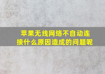 苹果无线网络不自动连接什么原因造成的问题呢