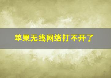 苹果无线网络打不开了