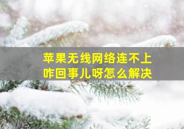 苹果无线网络连不上咋回事儿呀怎么解决