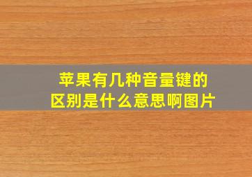 苹果有几种音量键的区别是什么意思啊图片