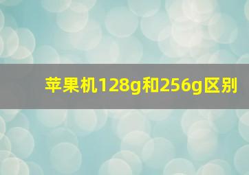 苹果机128g和256g区别