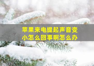 苹果来电提起声音变小怎么回事啊怎么办