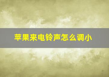 苹果来电铃声怎么调小