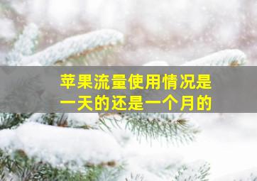 苹果流量使用情况是一天的还是一个月的