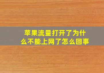 苹果流量打开了为什么不能上网了怎么回事