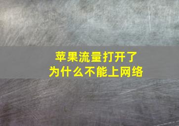 苹果流量打开了为什么不能上网络