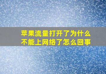 苹果流量打开了为什么不能上网络了怎么回事