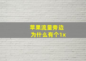 苹果流量旁边为什么有个1x