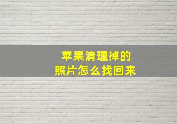 苹果清理掉的照片怎么找回来