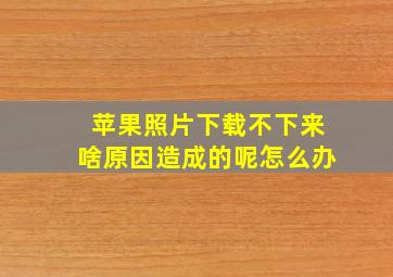 苹果照片下载不下来啥原因造成的呢怎么办