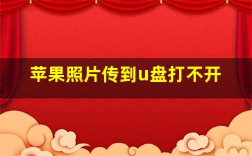 苹果照片传到u盘打不开