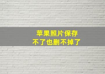 苹果照片保存不了也删不掉了