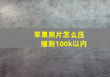 苹果照片怎么压缩到100k以内