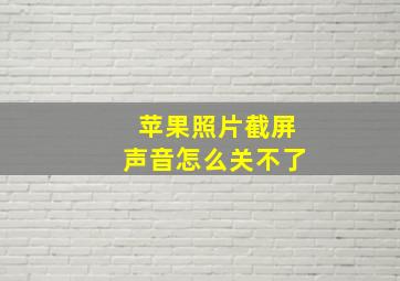 苹果照片截屏声音怎么关不了