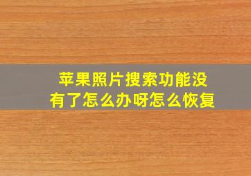 苹果照片搜索功能没有了怎么办呀怎么恢复