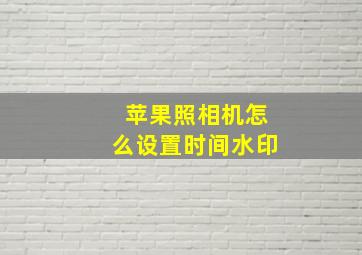 苹果照相机怎么设置时间水印