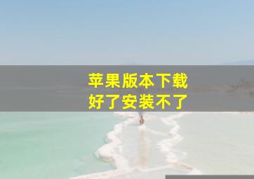 苹果版本下载好了安装不了