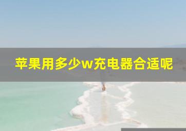 苹果用多少w充电器合适呢