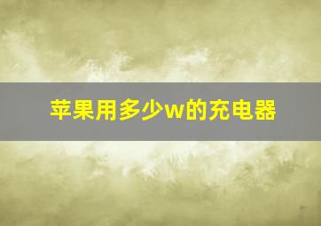 苹果用多少w的充电器