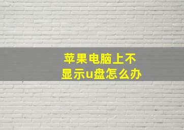 苹果电脑上不显示u盘怎么办