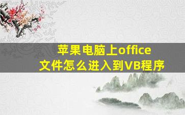 苹果电脑上office文件怎么进入到VB程序