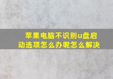 苹果电脑不识别u盘启动选项怎么办呢怎么解决