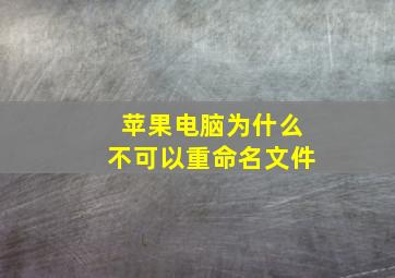 苹果电脑为什么不可以重命名文件