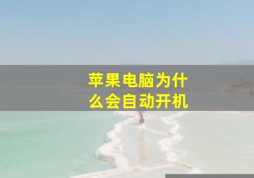 苹果电脑为什么会自动开机