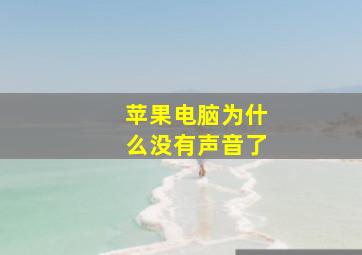 苹果电脑为什么没有声音了