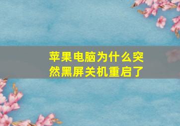 苹果电脑为什么突然黑屏关机重启了