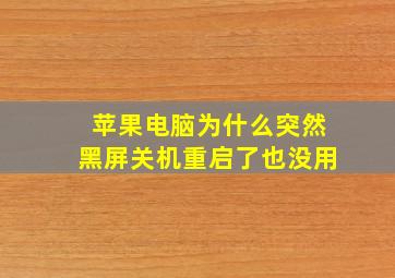 苹果电脑为什么突然黑屏关机重启了也没用