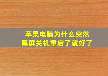 苹果电脑为什么突然黑屏关机重启了就好了