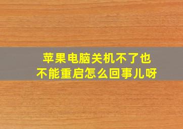 苹果电脑关机不了也不能重启怎么回事儿呀