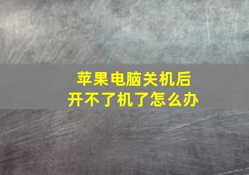 苹果电脑关机后开不了机了怎么办