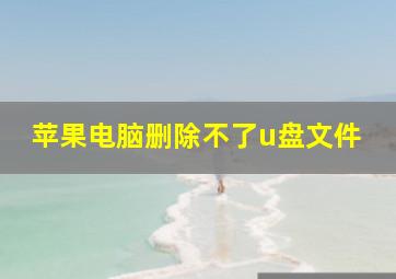 苹果电脑删除不了u盘文件