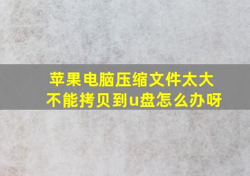 苹果电脑压缩文件太大不能拷贝到u盘怎么办呀