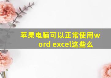 苹果电脑可以正常使用word excel这些么