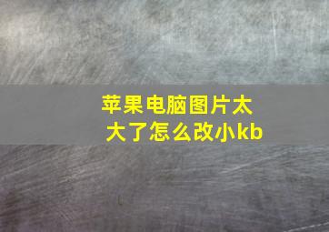 苹果电脑图片太大了怎么改小kb