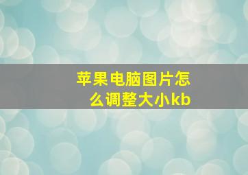 苹果电脑图片怎么调整大小kb