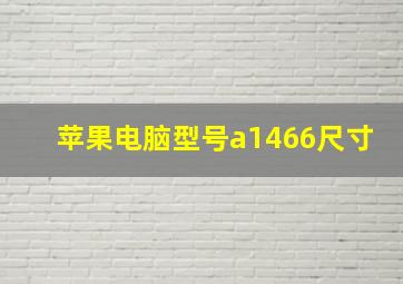 苹果电脑型号a1466尺寸