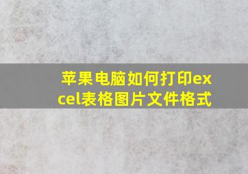 苹果电脑如何打印excel表格图片文件格式