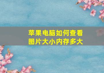 苹果电脑如何查看图片大小内存多大