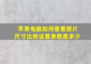 苹果电脑如何查看图片尺寸比例设置参数是多少