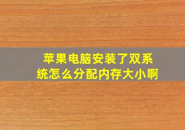 苹果电脑安装了双系统怎么分配内存大小啊