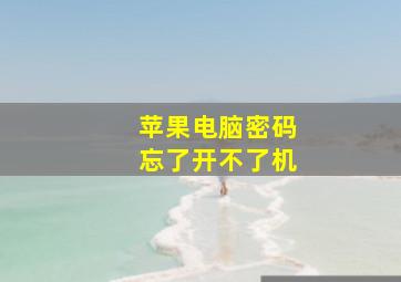 苹果电脑密码忘了开不了机