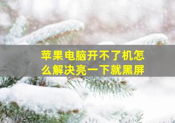 苹果电脑开不了机怎么解决亮一下就黑屏