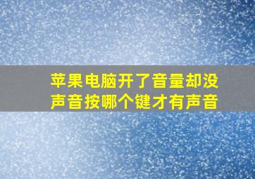 苹果电脑开了音量却没声音按哪个键才有声音