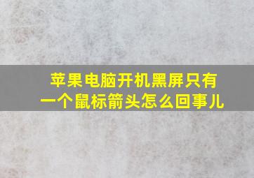 苹果电脑开机黑屏只有一个鼠标箭头怎么回事儿