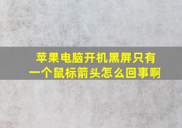 苹果电脑开机黑屏只有一个鼠标箭头怎么回事啊