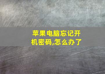 苹果电脑忘记开机密码,怎么办了